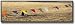 Sporting Goods : Pennant Streamers