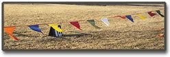 Childrens Toyshop  Sporting Goods : Pennant Streamers