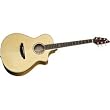 Breedlove Atlas Series Studio C250/EO Concert Acoustic-Electric Guitar (Natural)
