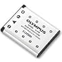 Olympus LI-42B Li-Ion Rechargeable Battery