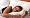 Premium Membrane Comforter/Duvet Cover - King