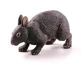 海洋堂 カプセルQミュージアム 日本の動物コレクション2 沖縄奄美／やんばるの森 アマミノクロウサギ 単品