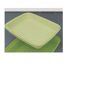 Tupperware Season Serve Container. Light Green by