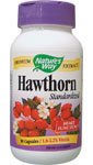 Hawthorn - Standardized Extract 90 caps