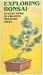 Exploring Bonsai: An Easy Guide to Create Miniature Trees