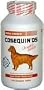Nutramax Cosequin DS Double-Strength Chewable Tablets - 250 Count