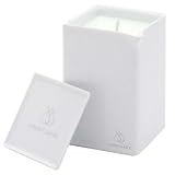 JimmyJane Ember Massage Candle 12 oz - Ginger and Date