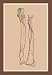 Skeleton #1 - 12x18 Framed Print in Black Frame (17x23 finished)
