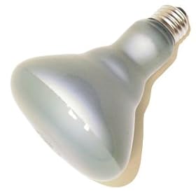 GE 48692 65-Watt 530-Lumen R30 Indoor Floodlight, Frosted Reveal