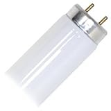 General 20110 - FL20SD/G (F20T10/D) 23.25IN Straight T10 Fluorescent Tube Light Bulb