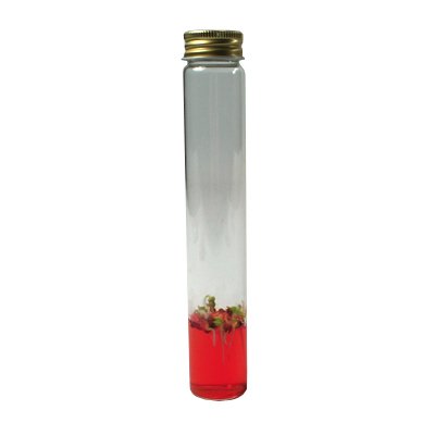 Magic Earth - Pflanze im Reagenzglas ROT / SALATGURKE