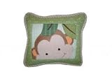 Papagayo Decorative Pillow