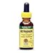 Astragalus Alcohol Free Extract - Promotes A Healthy Body, 1 oz., (Nature s Answer)