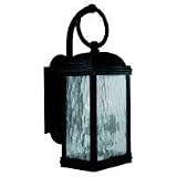 88191-802 - SeaGull Lighting Two-Light Branford Outdoor