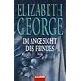 Im Angesicht des Feindes: Roman
