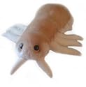 GIANT Microbes - Louse (Pediculus capitis) - Head Lice - Plush Toy!