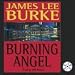 Burning Angel (AUDIOBOOK) (CD) (The Dave Robicheaux series, Book 8)