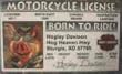 Hogley Davidson Fake Drivers License