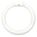 GE 33774 Cool White 8-Inch Diameter Circline Fluorescent T9 Bulb, 22-Watt