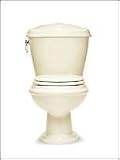 Toilet Two Piece Elongated by American Standard - 2011.026 in Rhapsody