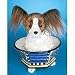 Plush Peppy Papillon 9