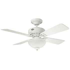 Hunter Ashlyn Ceiling Fan 20173-White