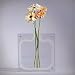 Versa Vase