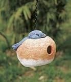 Outdoor Living : Bluebird Portly Birdhouse