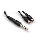 Y Cable 1/4" Ts To Dual Rcaf With White Earbud Headphones