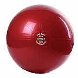 GoFit 65cm Professional Stability Ball