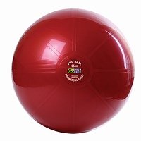 GoFit 65cm Professional Stability Ball
