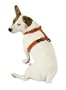 Planet Dog Cozy Hemp Adjustable Harness Purple Medium