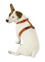 Planet Dog Cozy Hemp Adjustable Harness Apple Green Medium
