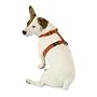 Planet Dog Cozy Hemp Adjustable Harness Purple Small