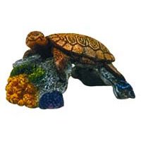 Sea Turtle Ornament - 4 in. x 3 in. x 2 in. - Buy Sea Turtle Ornament - 4 in. x 3 in. x 2 in. - Purchase Sea Turtle Ornament - 4 in. x 3 in. x 2 in. (Blue Ribbon, Home & Garden, Categories, Pet Supplies, Fish & Aquatic Pets, Aquarium Accessories, Decor)