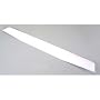 White Wing: FBC,FC2