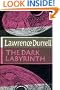 The dark labyrinth