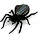 eFashion Educational Solar Powered Spider Robot Toy Gadget Gift