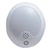 Eternalite LED Sound Sensor Night Light