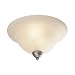 Golden Lighting 7221-FM AR Argentine Whitney Traditional / Classic Two Light Flush Mount Ceiling Fixture from the Whitney Collection
