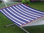 Palmetto Quilted hammock