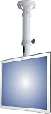 Newstar Fpma c025silver Mounting Kit Ceiling Mount For Lcd Display Silver Screen Size 10 26 Mounting Interface 100 X 100 Mm
