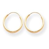 14k Gold Endless Hoop Earrings