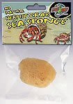 Pet Supplies : Zoo Med All Natural Hermit Crab Sea Sponge