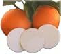 Citrus Circles Diaper Pail Deodorizing Disks