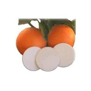 Click to buy Cloth Baby Diapers Supplies: Citrus Circles Diaper Pail Deodorizing Disks from Amazon!