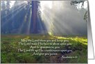 Uplifting Sympathy Thank You Cards Paper Greeting Cards Card