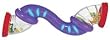 EARLYEARS CLICK-A-RONI BABY TOY