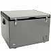 Whynter FM-65G 65-Quart Portable Refrigerator/Freezer, Platinum