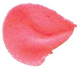 Wilton Decorating Tip #102 Petal W418PT-102, 6 Item(s)/Order